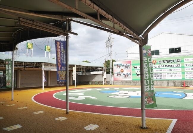 🏇 소노다 경마장 이미지 2